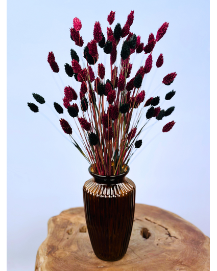 Najaarsactie: "Stefani's Flowers" incl. vaas