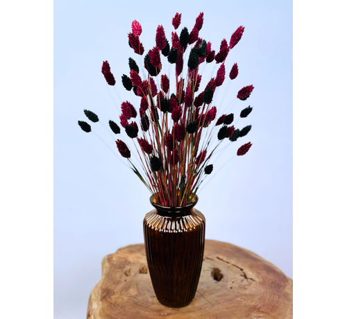 Najaarsactie: "Stefani's Flowers" incl. vaas