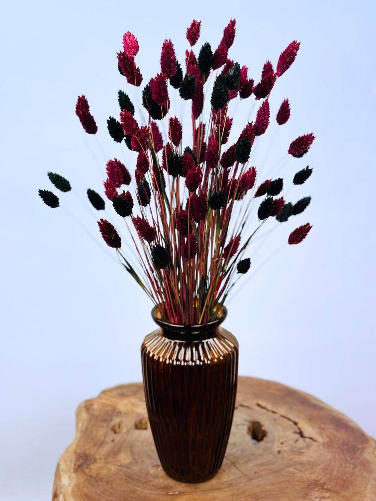 Najaarsactie: "Stefani's Flowers" incl. vaas
