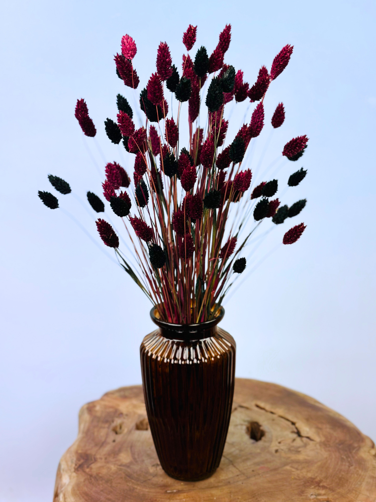Najaarsactie: "Stefani's Flowers" incl. vaas