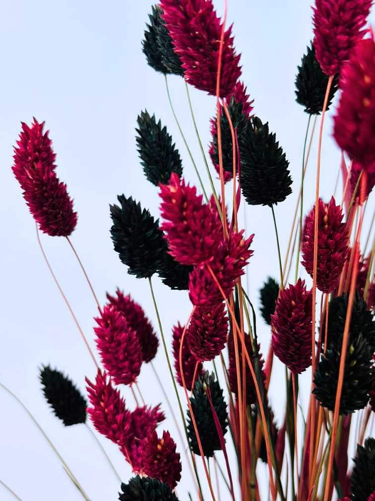 Najaarsactie: "Stefani's Flowers" incl. vaas