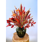 Droogbloemen boeket "Fairytale Dream" | 75cm