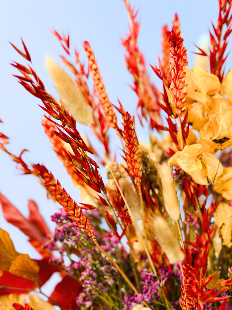 Droogbloemen boeket "Golden Kiss" | 60cm