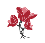 Zakelijk: droog & zijden