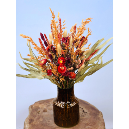 Najaarsactie (op=op)