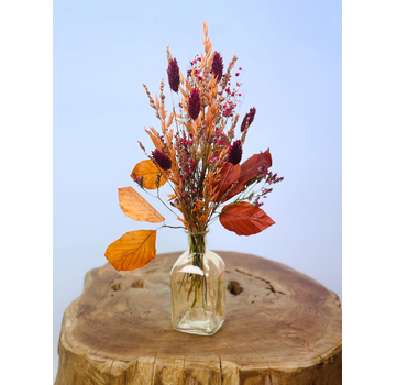 Droogboeket 'Dragon Born' - incl. vaasje