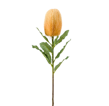 Zijden bloem "Banksia" spray orange | 65 cm