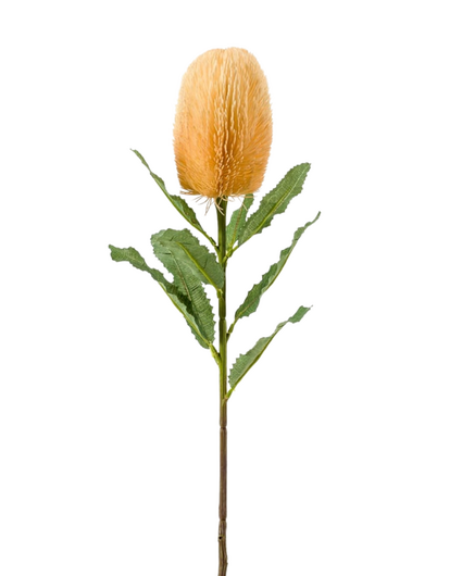 Zijden bloem "Banksia" spray orange | 65 cm