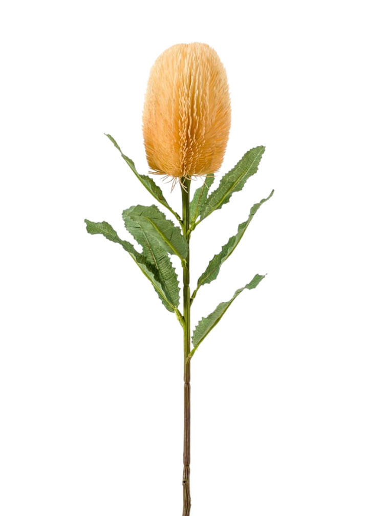 Zijden bloem "Banksia" spray orange | 65 cm