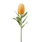 Zijden bloem "Banksia" spray orange | 65 cm