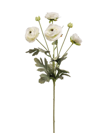 Zijden bloem "Ranunculus" spray cream | 65 cm