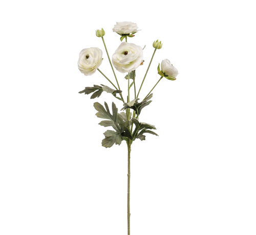 Zijden bloem "Ranunculus" spray cream | 65 cm
