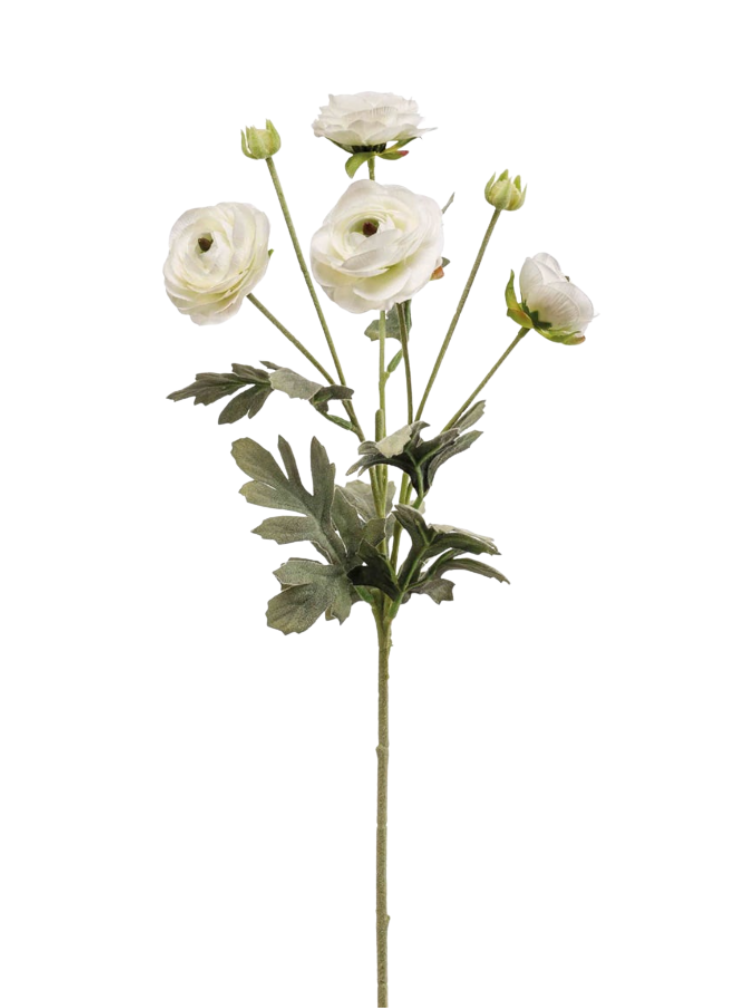 Zijden bloem "Ranunculus" spray cream | 65 cm