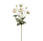 Zijden bloem "Ranunculus" spray cream | 65 cm
