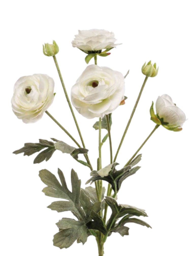 Zijden bloem "Ranunculus" spray cream | 65 cm
