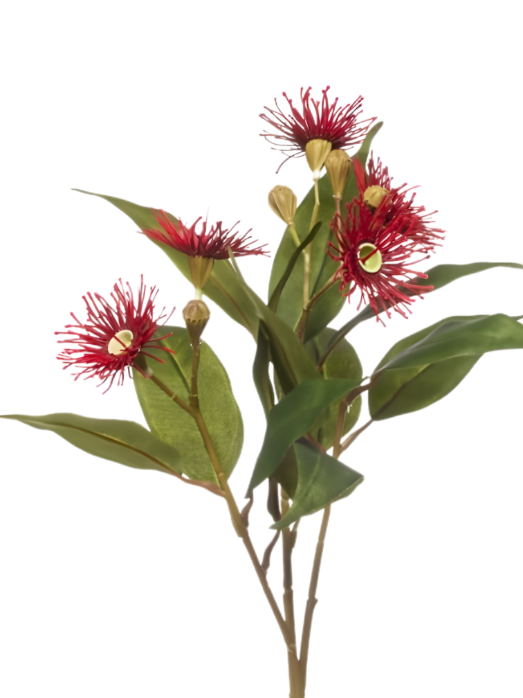 Zijden bloem "Eucalyptus flower" red | 62 cm
