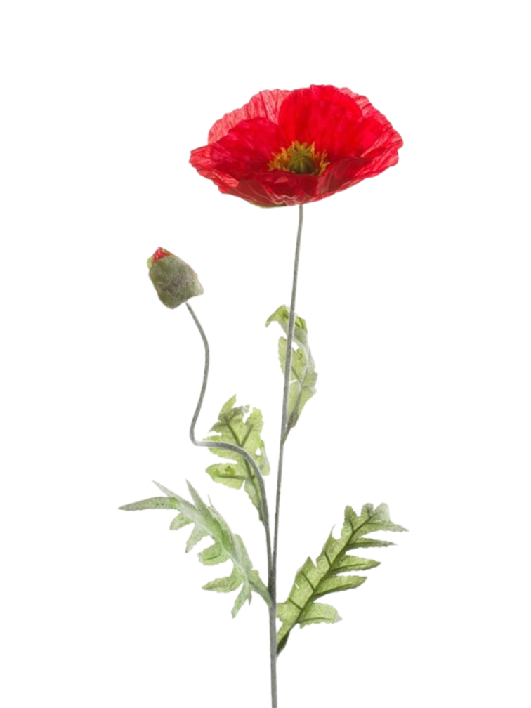 Zijden bloem "Poppy / klaproos" red | 70 cm