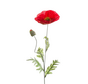 Zijden bloem "Poppy / klaproos" red | 70 cm