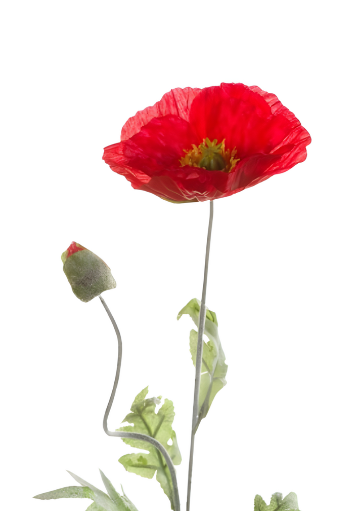 Zijden bloem "Poppy / klaproos" red | 70 cm