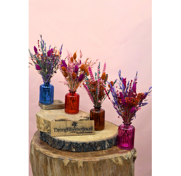 Droogbloemen in vaasjes "Groovy Colours"