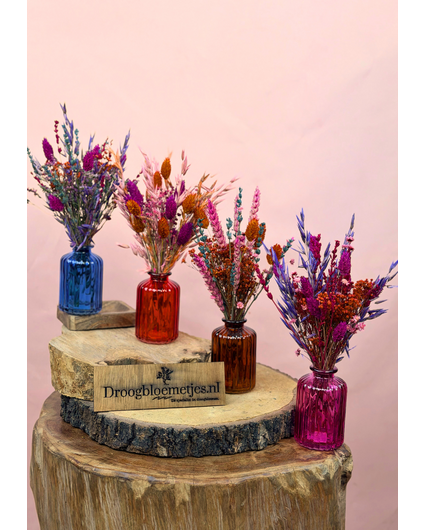 Droogbloemen in vaasjes "Groovy Colours"