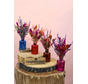 Droogbloemen in vaasjes "Groovy Colours"
