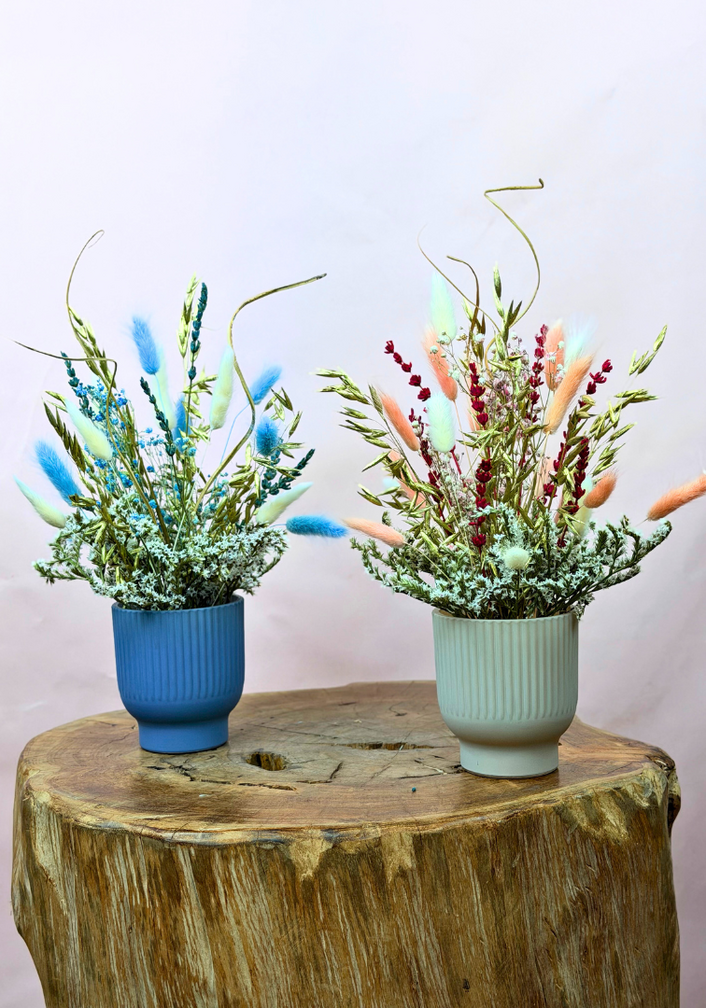 Droogboek "Wishfull Flowers" in stijlvolle vaasjes in vaasjes (set)