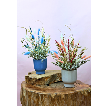 Droogboek "Wishful Flowers" in stijlvolle vaasjes in vaasjes (set)