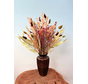 Droogbloemen boeket "Colours of the Wind" - incl. bruine vaas | 50cm
