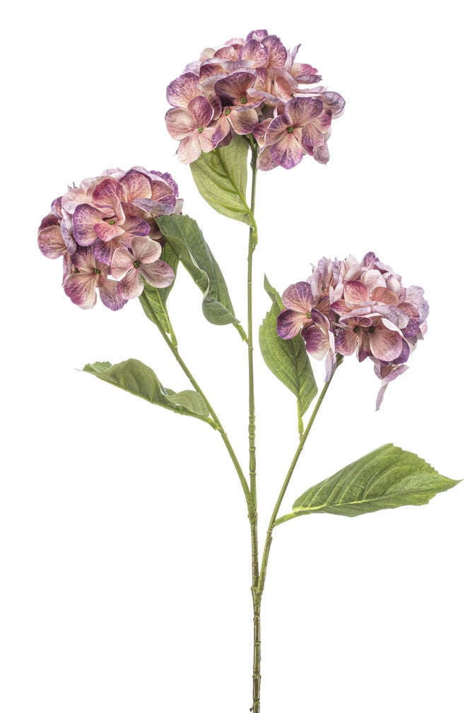 Zijden bloem "Hydrangea" Spray Peach / Purple | 75 cm
