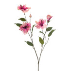 € 16,- tot €25,-