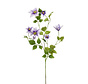Zijden bloem "Clematis" Purple | 110 cm