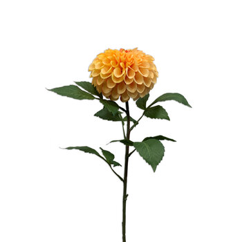 Zijden bloem "Dahlia" Pompom peach  | 74 cm