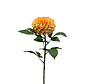 Zijden bloem "Dahlia" Pompom peach  | 74 cm