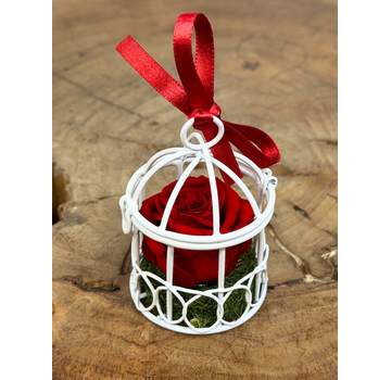 Longlife Roos in vogelkooi