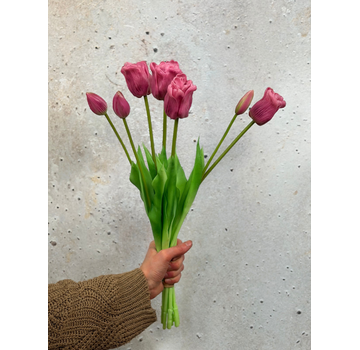 Kunst papegaai tulpen - paars | 7 stuks