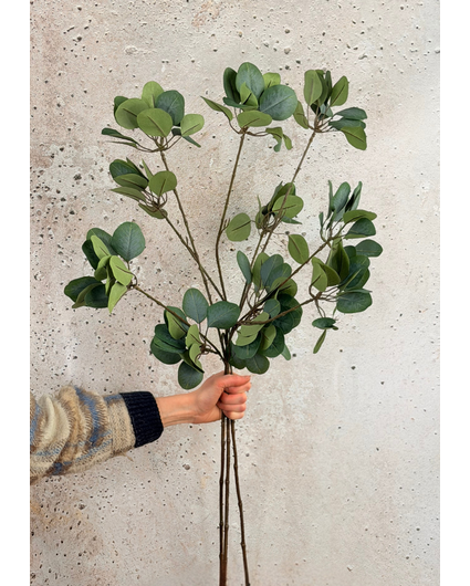 Zijdenbos Eucalyptus - 3 stelen