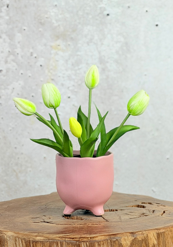 Kunst Tulpen - wit (incl. roze pot) | 30cm