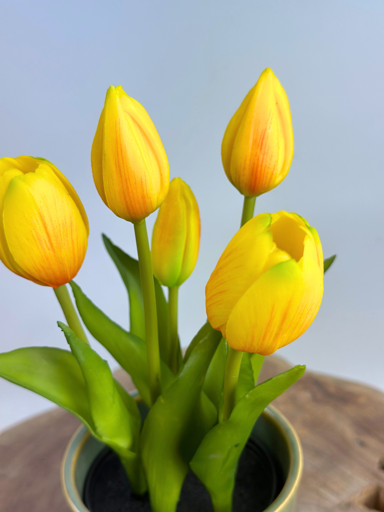 Kunst Tulpen - geel (incl. terracotta pot) | 30cm
