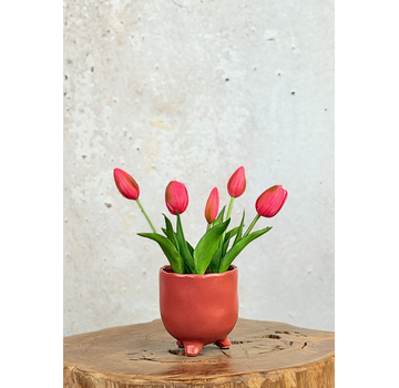 Kunst Tulpen - fuchsia (incl. terracotta pot) | 30cm