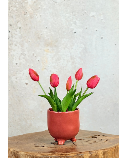 Kunst Tulpen - fuchsia (incl. terracotta pot) | 30cm