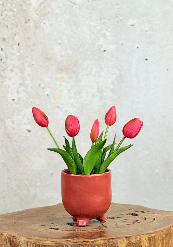 Kunst Tulpen - fuchsia (incl. terracotta pot) | 30cm
