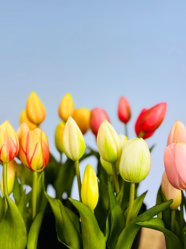 Kunst Tulpen - roze (incl. terracotta pot) | 30cm