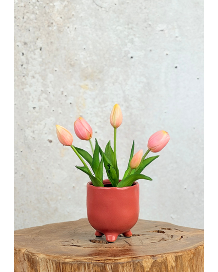 Kunst Tulpen - roze (incl.  terracotta pot) | 30cm