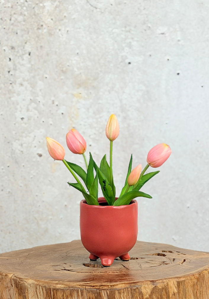 Kunst Tulpen - roze (incl. terracotta pot) | 30cm
