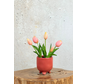 Kunst Tulpen - roze (incl.  terracotta pot) | 30cm