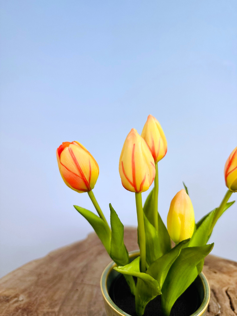 Kunst Tulpen - oranje (incl. terracotta pot) | 30cm