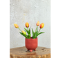 Kunst Tulpen - oranje (incl. terracotta pot) | 30cm