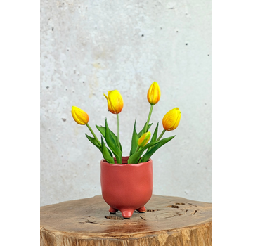 Kunst Tulpen - wit (incl. terracotta pot) | 30cm