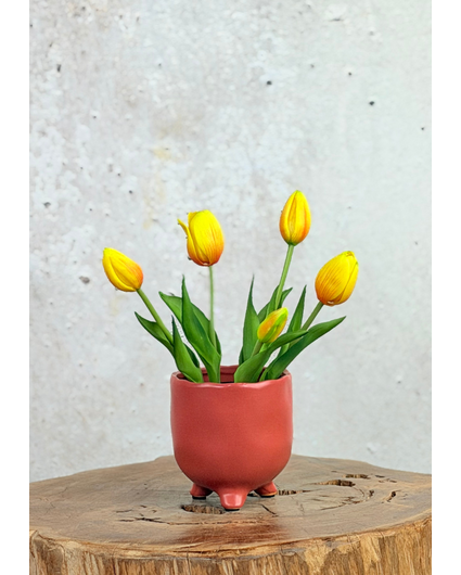 Kunst Tulpen - wit (incl. terracotta pot) | 30cm